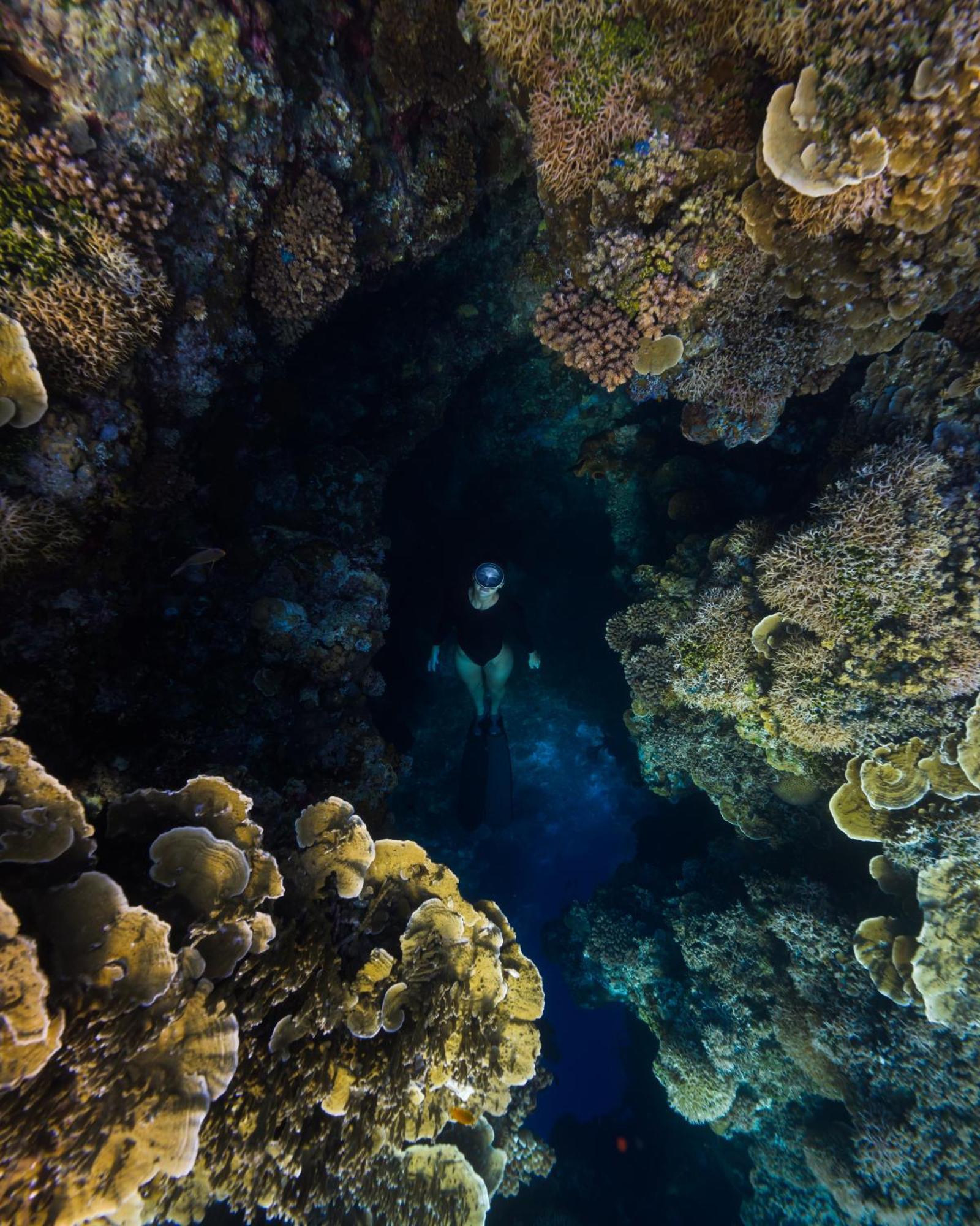 Reconnect - Private Island Resort & Dive Center Togean - Buka Buka Island Ampana Dış mekan fotoğraf