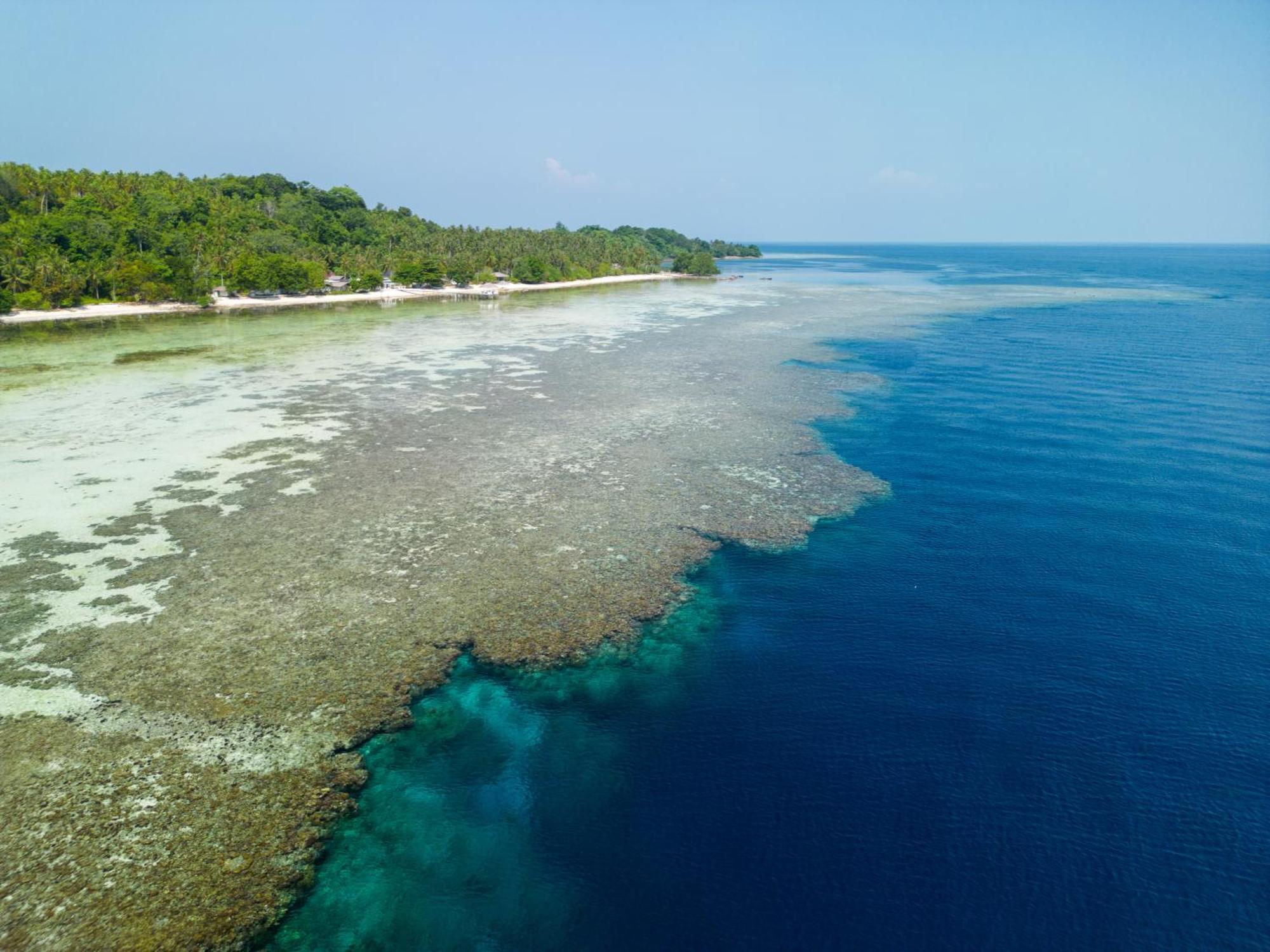 Reconnect - Private Island Resort & Dive Center Togean - Buka Buka Island Ampana Dış mekan fotoğraf